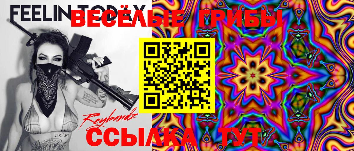 Псилоцибиновые грибы Psilocybe Заволжье