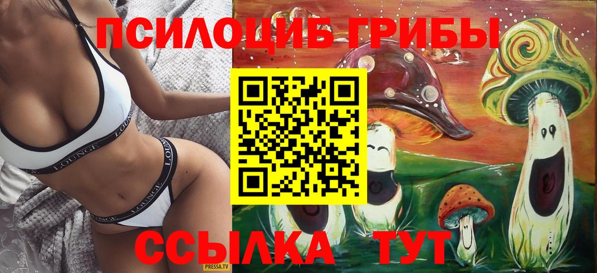 Галлюциногенные грибы мухоморы  Вход с VPN  Заволжье 
